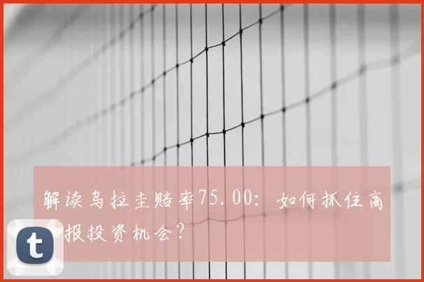 解读乌拉圭赔率75.00:如何抓住高回报投资机会?